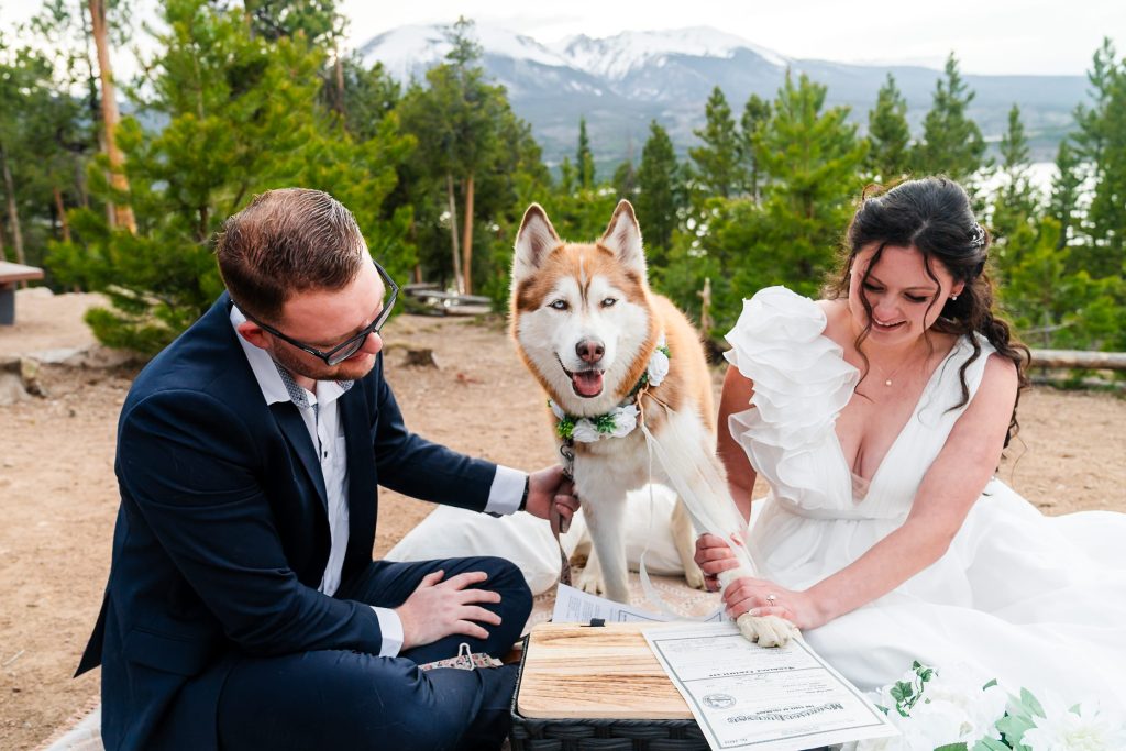 Dog signs marriage license in Colorado Elopement